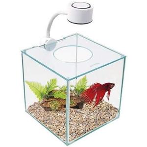 Marina CUBUS Glass Betta Kit Elegant Glass Aquarium for Homes or Offices