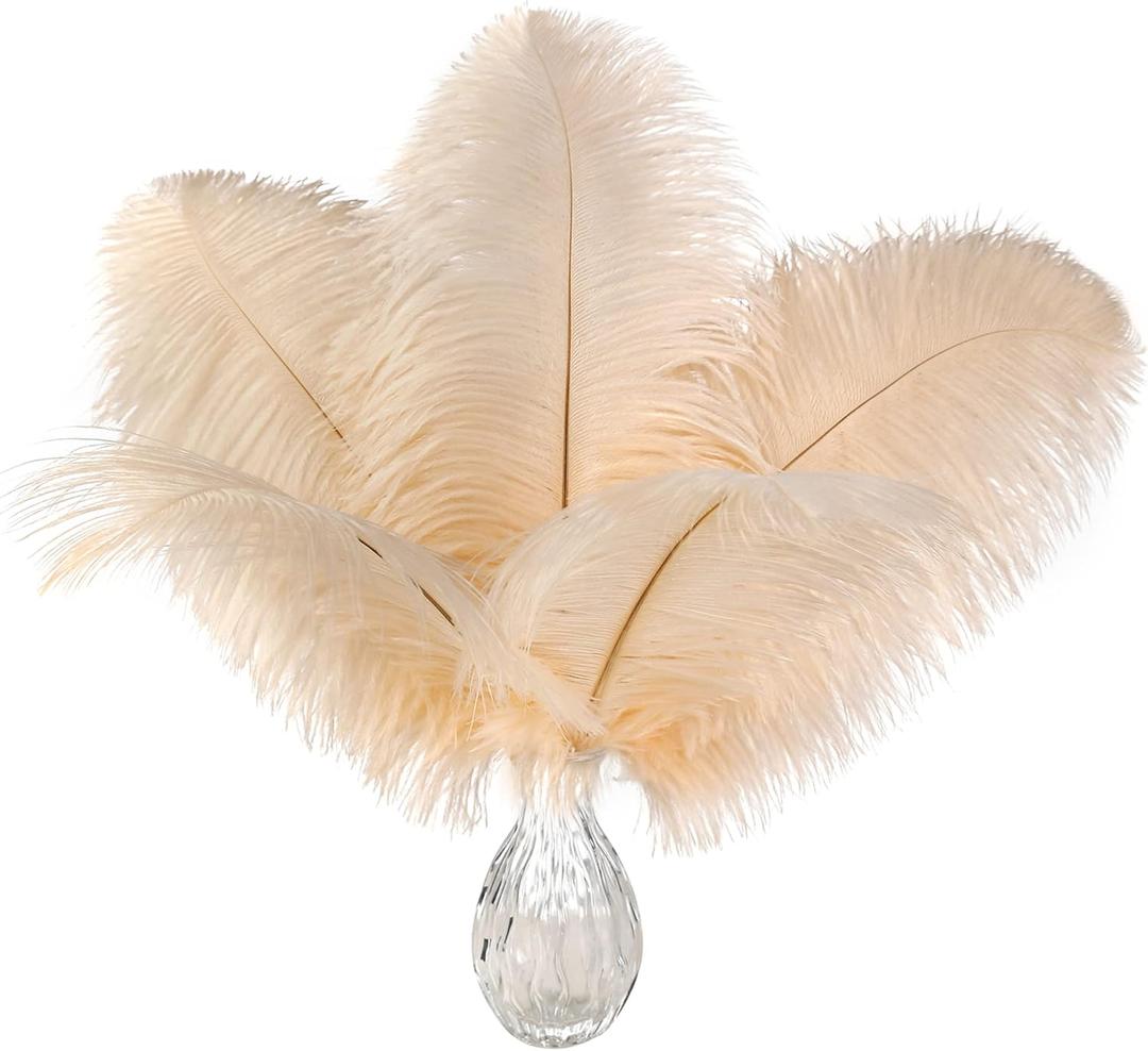 Ballinger Light Salmon Ostrich Feathers - 24 pcs 10-12 inch Feathers for vases Wedding Party Centerpieces and Home Decor