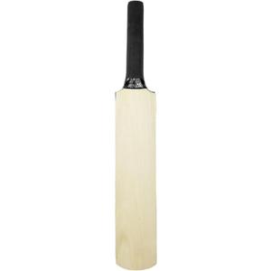 Autograph Signature Mini Cricket Bat (15 Inches) by Naqqash Sports