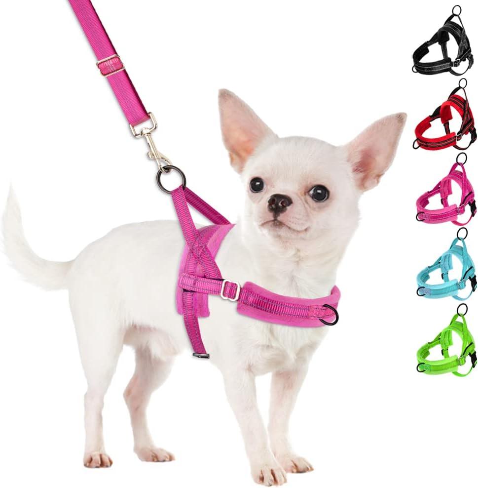 SlowTon No Pull Small Dog Harness and Leash Set, Puppy Soft Vest Harness Neck & Chest Adjustable, Reflective Lightweight Harness & Anti-Twist Pet Lead Combo for Small Medium Dogs (Fuchsia, XS) (A-Fuchsia - With Front Clip)