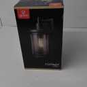 Xavier 1-Light Matte Black Hardwired Outdoor Indoor Wall Lantern Sconce with Seeded Glass Shade