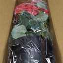 GLIDLION 2 Pack Artificial Geranium Flowers Topitary Trees for Outdoors, UV Resistant Geraniums Potted Bushes Look Real Silk Faux Plants for Front Door Garden Porch Planter Farmhouse Home Decor (Red)