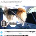AUBELL Dog Seat Belt for Car,2 Pack Set 3-in-1 Adjustable Reflective Bungee Heavy Duty Dog Car Harness Tether with Clip Hook Latch & Buckle,Swivel Zinc Alloy Carabiner,Black+Grey
