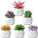 ZINHO Fake Succulent Plant Set 6 PCS Artificial Succulent Plants for Desk Realistic Faux Succulents in Plastic Pots Mini Colorful Succulent Decor for Bedroom Bathroom Office Shelf Decor (Mix)
