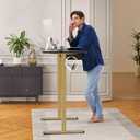 ErGear Electric Stand up Desk Frame,4 Memory Height Settings Height Adjustable Table Legs, Sit Stand Desk Frame Up to 47.2", Ergonomic Standing Desk Base Workstation, Gold Frame Only