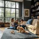 Ultra Soft Rug for Living Room, 3x5 Feet Grey Shag Area Rugs for Living Room, Modern Shaggy Carpets for Teens Dorm Nursery Home, Non Slip Indoor Rugs Floor Carpet(3 x 5, Light Grey)