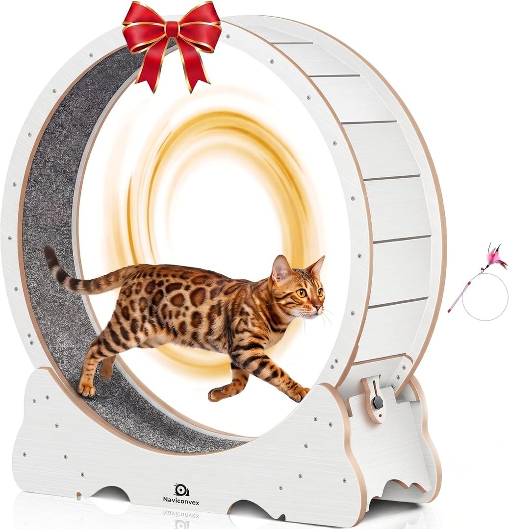 Cat Wheel, 53" XXL Large Exercise Running Wheels with Detachable Carpet for Indoor Cats