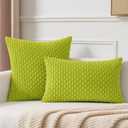 Kevin Textile Decorative Pillow Covers Set of 2 Striped Plush Corduroy Pillows Pillowcases Boho Home Decor Cushion Covers for Couch Sofa Bed Living Room 26x26 Inch, Spring Green