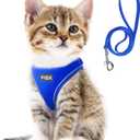 Fida Comfy Dog Harness with Leash, Cat Vest Harness Escape Proof, Breathable Lightweight Soft Mesh, Adjustable Reflective Step-in Harness for Puppy Toy Breeds & Extra-Small Pet (XXS, Blue) (XXS (Neck:11.4"-12.2"; Girth:12.6"-14.2"))