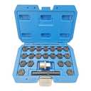 22PCS Wheel Locking Nut Key Kit Compatible with BMW Series, Wheel Lock Nut Socket Adapter Set, Anti-Theft Lug Removal Tool, Anti-Theft Screw Remover Repair Tool