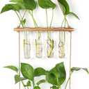 Wall Hanging Planter Terrarium 2 Tired Test Tube Vase Glass Planter Plant Propagation Station Plant Hangers of Rope with Wooden Stand and 8 Tubes for Hydroponic Plant Cutting