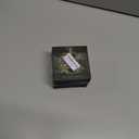 5 x Cute Moose Christmas Ornament 2025 - Peeking Moose Playing with Xmas Light Ornaments - Farm Animal Lover Gift for Kids, Men, Women, Rustic Holiday Decor