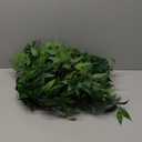 Mizii Artificial Vines Garland 10 Feet Faux Italian Ruscus Vine Greenery Garland Silk Green Leaves Decoration Fake Plants Greenery for Table Centerpieces Home Room Wall Wedding Arch Decor (10 feet)