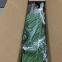 5ft Artificial Palm Tree Indoor Plant Tall Fake Tropical Paradise Palm Tree in Pot with Real Bark Design Faux Areca Palm Tree for Home Office Living Room Bedroom Farmhouse Modern Decor 1pcs