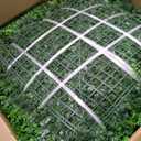 20"x20" (24 Pieces) Artificial Green Boxwood Hedge Screen Panels | UV-Protected Privacy Screen Panel, Faux Grass Wall, Indoor Outdoor Green Covering, Patio/Balcony/Garden/Backyard Art Decor
