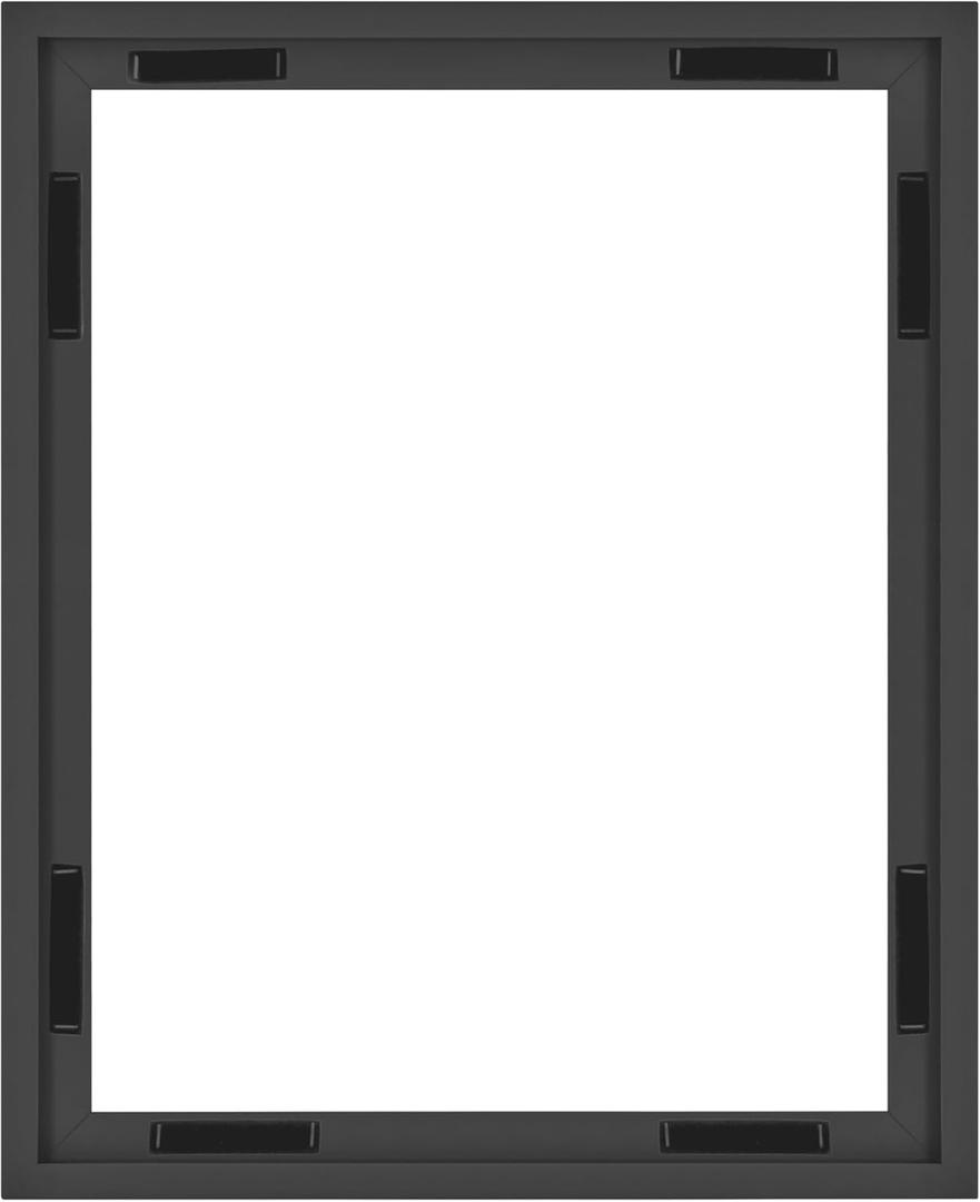 MCS Canvas Float Frames 16x20 Canvas Black Finish Frame, Vertical & Horizontal Wall Hanging Large Frame for Canvas Paintings (1-Pack)