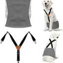 JUDIXY Premium Reusable Dog Belly Bands for Male Dogs (2 Pack) - 1 Washable Dog Diapers Male & 1 Adjustable Suspenders for Urination Incontinence, (Grey M)