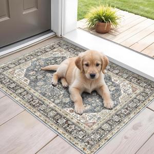 Entryway Area Rugs 2x3: Washable Area Rug Super Soft Distressed Oriental Rugs with Non-Slip Backing - Thin Stain Resistant Indoor Rug -2x3 Blue