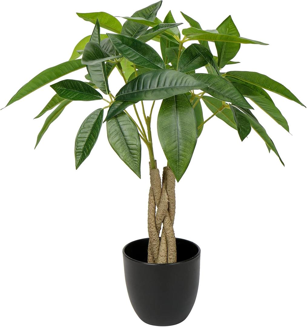 16 Inch Fake Money Tree - Indoor Potted Artificial Pachira Money Tree - Small Faux Plant in Black Pot - Good Luck & Fortune Plant for Home Office Decor