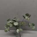 Muhanjia Artificial Eucalyptus Stems in Glass Vase with Faux Water,3Pcs Fake Plant with Double-Sided Green Leaves for Centerpiece(Double-Sided Green Eucalyptus)