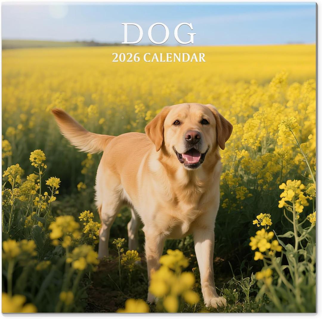 2 x 2026 Calendar, Wall Calendar 2026, Dogs 12 Month Wall Calendars (Jan - Dec 2026) 12" x 24" Opened, Hanging Monthly Calendar Thick Paper for Kids Family Adults Office Home