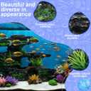 Artificial Rockery with Aquatic Plants for Aquarium Decoration - Easy-to-Clean Christmas Decoration for Betta Fish Tanks (1 Artificial Rockery, 4 Aquatic Plants)