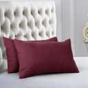 EVOLIVE Ultra Soft Brushed Microfiber Standard Size 20"x30" Pillowcases Pair Set of 2 with Envelope Closure (20"x30" Standard)