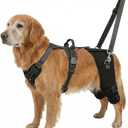 Dog Hip Support Brace-Adjustable Dog Leg Brace for Back Leg with Lift Strap for Hip Dysplasia Arthritis Pain Relief, Dog Hip Dysplasia Brace for Dogs(XXL)