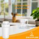 Water Filter Replacement for Alexapure Water Pitcher 4-Pack