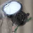 Ring Light with Stand, Adjustable Desktop Lamp with Phone Mount, CRI 97+ Studio-Grade Video Conference Light for Video Calls, Home Office, TikTok Live & Vlog Filming (Nocturnal Black)