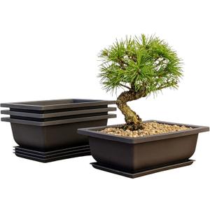 Bonsai Outlet Training Pots with Humidity Trays - Built in Mesh, Six Inch Large Planters + Made from Durable Shatter Proof Poly-Resin, Set of 3 Pot Set