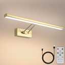 HOWMZON Picture Light,13.5" Art Light, Picture Light Battery Operated,3CCT Picture Lights for Wall,Wireless Picture Lights with Remote for Wall Display, Photo,Library Brass-Plated