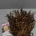 Ombre Highlight Lace Front Wigs Honey Blonde Deep Wave  HD Transparent Lace Frontal Wigs Human Hair  Colored Curly Wig for Women Density Glueless Pre Plucked 20 Inch Wig