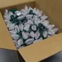 Brightown 2 Pack Total 132ft 200LED Outdoor C9 LED Christmas String Lights, Plug-in Connectable Waterproof Roofline String Lights for Outside Christmas Holiday Decor