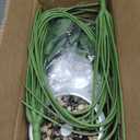 SAJANDAS Set of 2 Artificial Monstera Deliciosa Plants in Pots, Fake Tropical Palm Tree with Greenery Leaves Stems, 43 Inch Faux Swiss Cheese Floor Plants Indoor for Home, Office, Store Decor