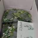 Dolicer 6 Packs 6FT Artificial Eucalyptus Garland, Faux Greenery Garland Fake Vines Hanging Silver Dollar Eucalyptus Leaves for Wedding Backdrop Arch Table Wall Party Home Decor (Grey Green With White Seed)