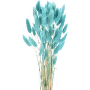 MECCANIXITY 60pcs Natural Rabbit Bunny Tails Dried Flowers 17" Mini Pampas Grass Lagurus Ovatus Bunch for Floral Wedding Decor Christmas, Light Blue