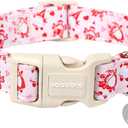 DOGWONG Valentine's Dog Collar, Adjustable Durable Pink Heart Dog Collar Cute Dog Collar for Small Medium Dogs