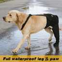 COODEO Dog Rear Leg Recovery Sleeve, Waterproof Hind Leg Sock for Dogs, Anti-Slip Paw Cover, Wear Resistant Protective Sleeve for Hot Spots, Sores & Outdoor Use (Black, L_Left Rear Leg)