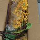 florisso 6 PCS Artificial Cherry Blossom Branches Spring Indoor Decoration, Faux Yellow Silk Flowers 34.45" Long Stems Real Touch Plum Fake Peach Plants for New Year Wedding Home Bedroom Table Office