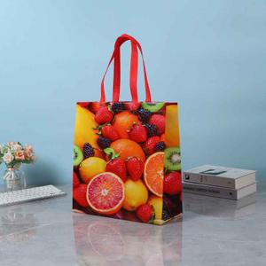 Brook Trout Fly Fishing Beach Bag Reusable Tote Bag Foldable Grocery Bags Women Shopping Bags for Daily Essentials 14x14