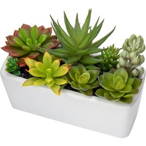 Artificial Succulents Plants in Ceramic Planter Assorted Faux Succulents in Pots Arrangement Fake Succulent Potted Plant for Home Office Desk Bathroom Shelf Living Room Indoor Outdoor Decor - Black (White#1)