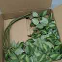 HyeFlora 5PCS Artificial Eucalyptus Leaves Stem Plants for Spring Decor, 32.7 inch Fake Leaves Greenery Branches Green Shrubs Silk Faux Foliage DIY Stems for Festival Home Kitchen Farmhouse(Green)