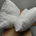 Throw Pillows Insert Set of 2, White 20x20 in Pillow Inserts with 100% Cotton Cover,Bed and Couch Decorative Stuffer Pillows,Indoor Pillows for Sofa