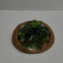 Hanging Artificial Succulent Planted in Woven Basket for Boho Wall Decor & Door Wreath,Fake Plants Hanging Wall Decor for Livingroom Bedroom Bathroom Home & Office Decor (Green & Brown)
