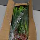 Geegoods Artificial Plants Flowers Outdoor 24 Bundles UV Resistant Faux Lavender Flowers with Monkey Grass for Garden Porch Window Patio Hanging Planter Decor