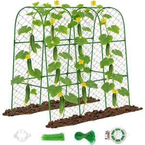 Amoskey Cucumber Trellis for Raised Beds, Cucumber Trellis for Climbing Plants Outdoor, with Garden Netting and Plant Clip, Metal Arch Garden Trellis Ideal for Cucumbers, Tomatoes, and Flowers