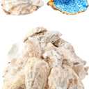 20Pcs Oyster Shells for Crafts 3"-4" Large Oyster Shell for CraftsOyster Shell for Christmas Painting Beach Themes Wedding, Home Shells for Decoration and Sea Shells for Crafting