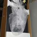 Lichico Walking Pad Treadmill Under Desk for Home with BLDC Core and Extra-Large Belt, Remote and App Control, Portable and Compact for Small Space