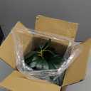 AlphaAcc Artificial Plants Decor Greenery Fake Succulents Indoor Potted Fake Plant with Rustic Black Clay Planter for Home Decor Farmhouse Room Bathroom Bedroom Kitchen Office Table Decor